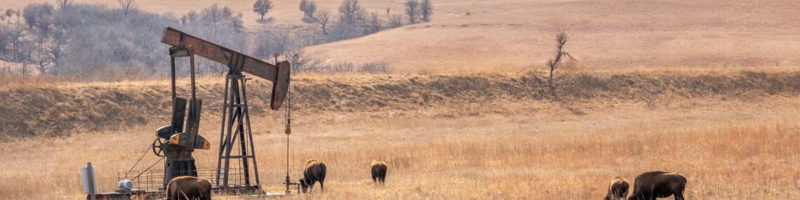 Bison around oil well in Oklahoma