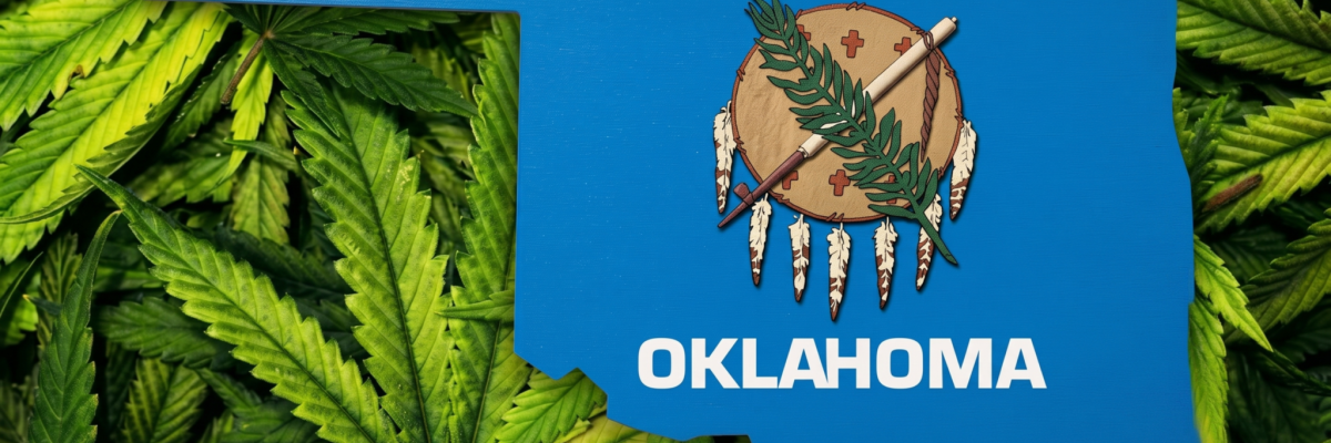 A blue map-shaped overlay of the state of Oklahoma, featuring its official flag shield in the center, rests on a dense, textured background of large cannabis leaves.