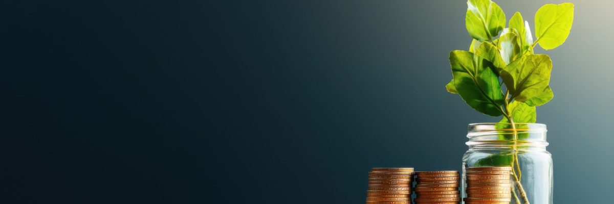 seed funding coins next to a small jar with a plant seedling growing